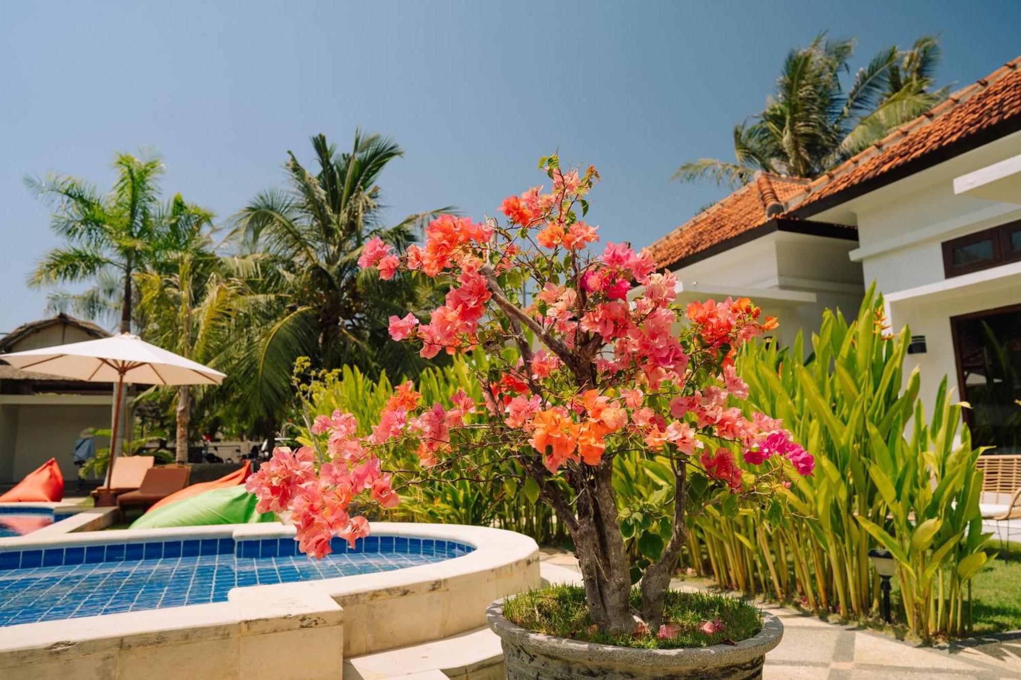 Nomada Villas Kuta (Lombok) Exterior foto