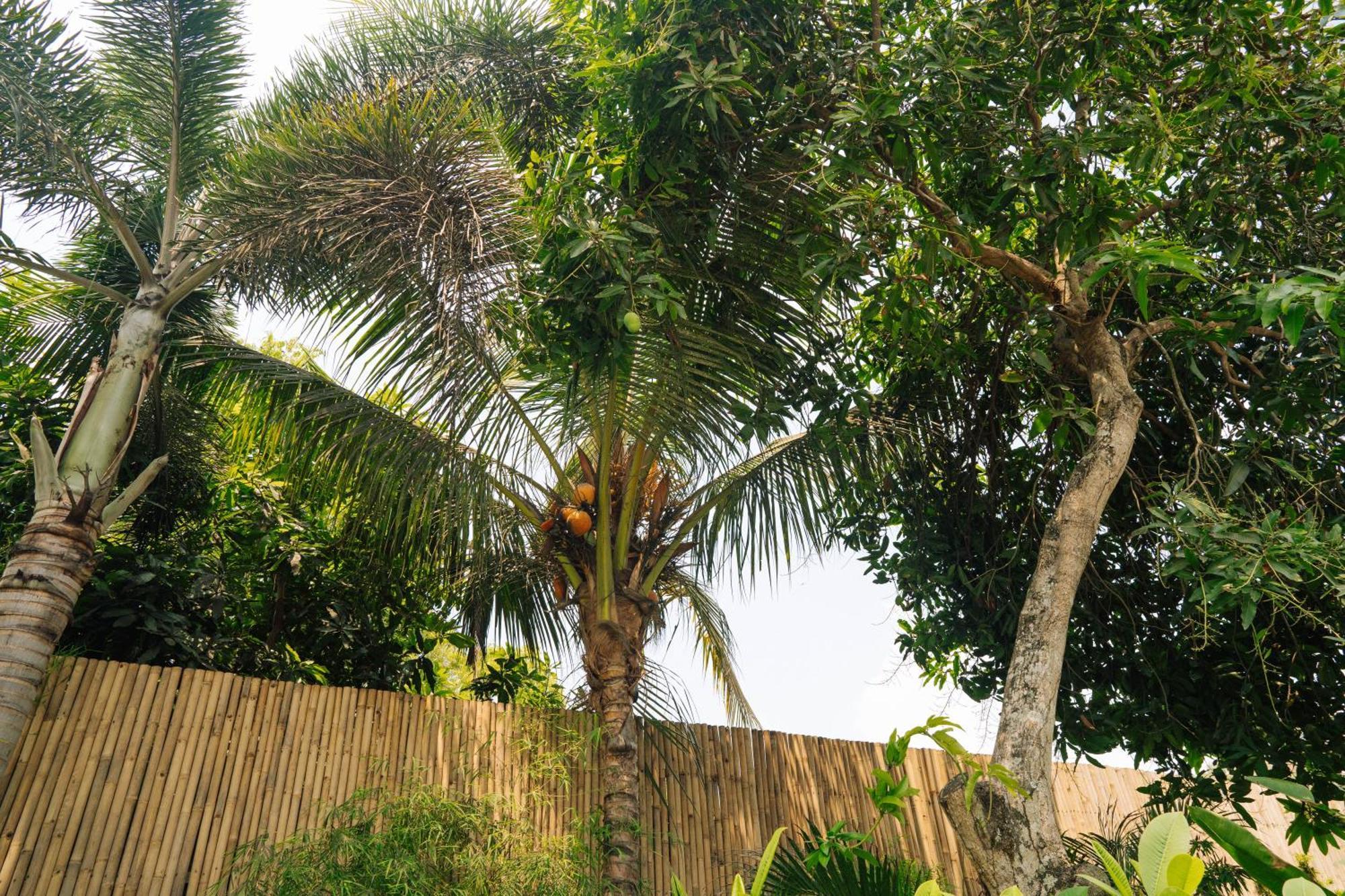 Nomada Villas Kuta (Lombok) Exterior foto